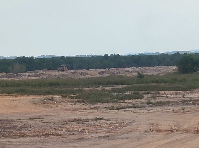 
					Cut and Fill di Villa Mukakuning Luluh Lantahkan Hutan Mangrove, Diduga Belum Kantongi Ijin