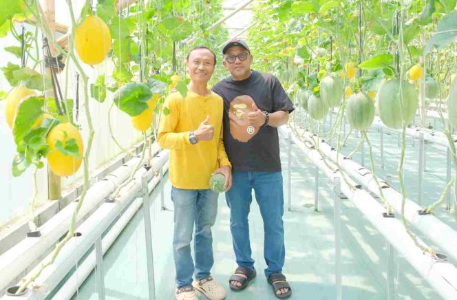 
					Wali Kota Lis Tinjau Budidaya Melon Hidroponik di Cilacap, Dorong Pertanian Modern dan Ketahanan Pangan Tanjungpinang