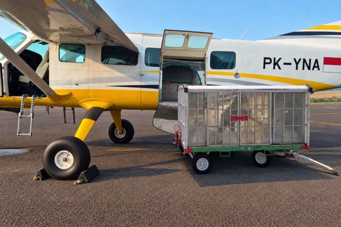 
					Jaga Ketersediaan Air Baku Batam, BP Batam Siapkan Operasi Modifikasi Cuaca