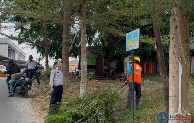 
					SI-PIJAR Dorong Efisiensi Penerangan Jalan Umum Tanjungpinang